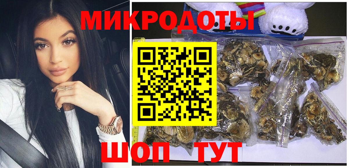 где купить наркоту  Вход с VPN  Алатырь  Галлюциногенные грибы Psilocybine cubensis 