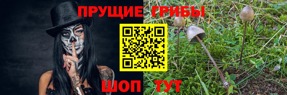 Галлюциногенные грибы Psilocybine cubensis Алатырь